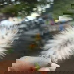 Rohnur Wulandari profile icon