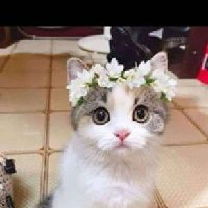 Ika Setianingrum profile icon