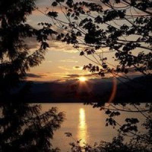 Nadya Ananda profile icon