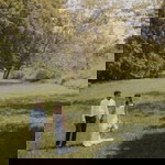 Shanu Shanitha profile icon