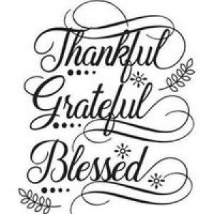 Stephen V Ortsac profile icon