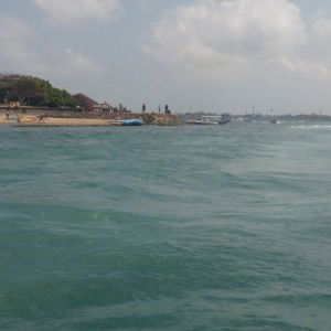 Imma Imma profile icon