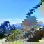 Meidyta Amelia profile icon