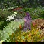 Imas Khoirunnisa profile icon