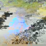 Ibnu Nadya Bersatoe profile icon