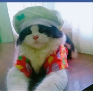 rohmah masduki profile icon