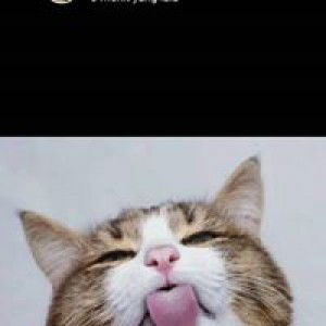 Ridha Alfiani profile icon