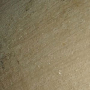 dina ongky profile icon