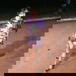 ปีโป้ ปลากะโห้ profile icon