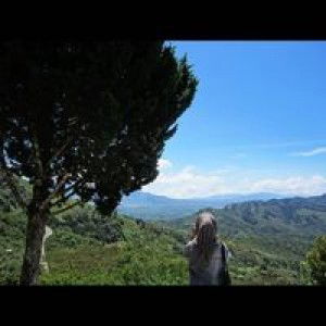 Fitri Lestary profile icon