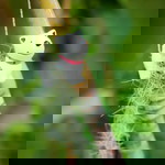 Namtarn Nut profile icon