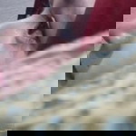 Siti Rohmah profile icon