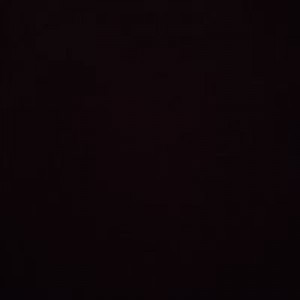 Putri Diningsih profile icon