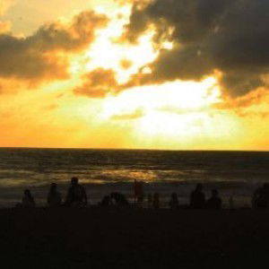 Umu Sastroatmodjo profile icon