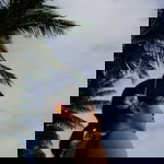 Chen Chen profile icon