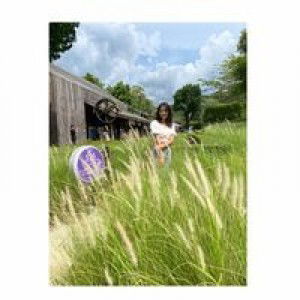 Chanita Niansantia profile icon