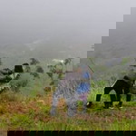 Leah Talde profile icon