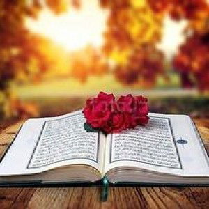 Virsya Izzatunnisa profile icon