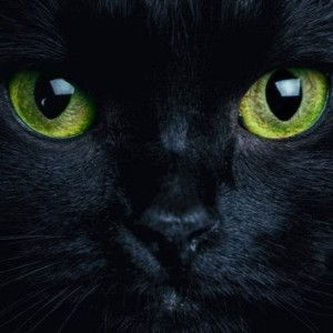 ruji kongphon profile icon