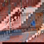 Rogue Boringlife profile icon