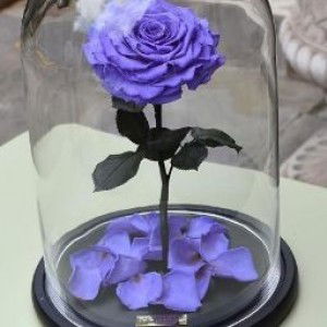 Rizqi Purwaningtias profile icon