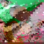 sri mulyani profile icon