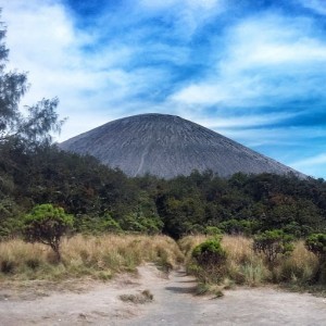 Reva Afriyani profile icon