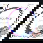 Diah S Rhiny profile icon