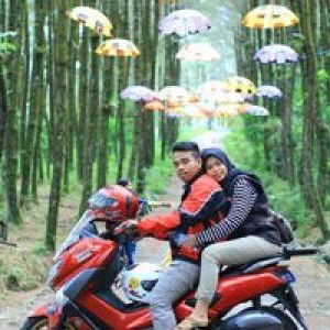 Nenk Maya profile icon