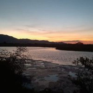 Ash Ren profile icon