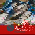 Monique Espero Mayo profile icon