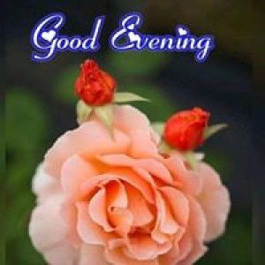 Vic Vic Miraflor Magnaye profile icon