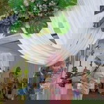 Nut Freedomlike profile icon