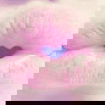 chocopo Tpn profile icon