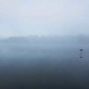 Dinh Nhai profile icon