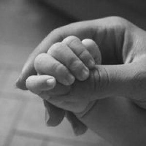 Jib Jib profile icon