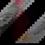Laksika'a Aapa'a profile icon