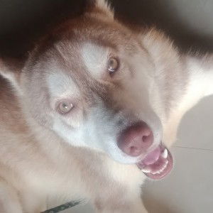 KAPOYPOY CHANNEL profile icon