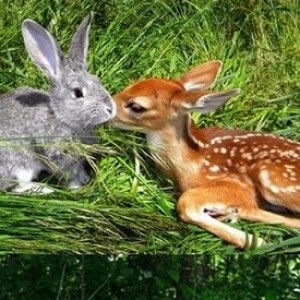 Tushy Octafadiola profile icon