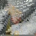 Wulan Siti Nuroktaviani profile icon