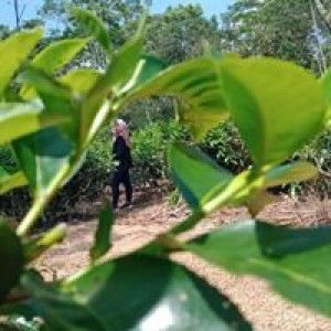 Shinta Nurcahyati profile icon