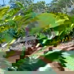 Shinta Nurcahyati profile icon