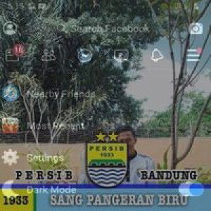 Susie's Irma CRdn profile icon