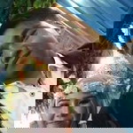 Raihanah Salsabil profile icon