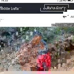 Ridwan Anita profile icon