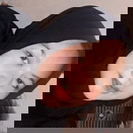 Santi Yuliandini profile icon