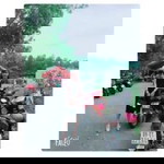 Minh Thư profile icon