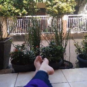 salma fina profile icon