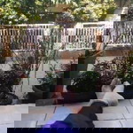 salma fina profile icon