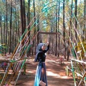 Ella Sheila Rahayu profile icon